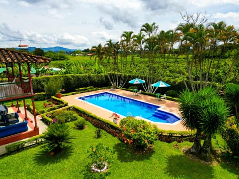 Day, Natural landscape, Bird's eye view, Garden, Garden view, Pool view, Swimming pool