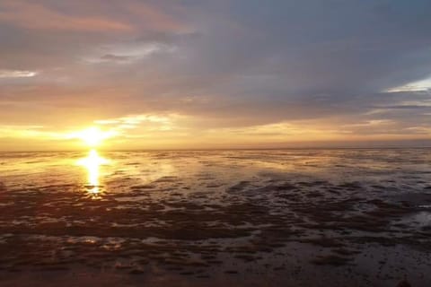 Beach, Sea view, Sunset