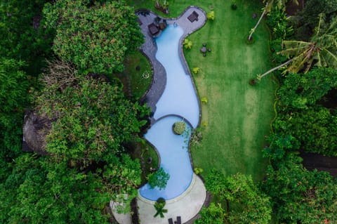 Bird's eye view, Swimming pool