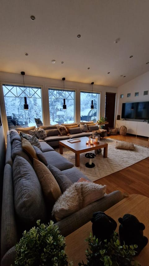 Winter, TV and multimedia, Balcony/Terrace, Living room, Decorative detail, Seating area