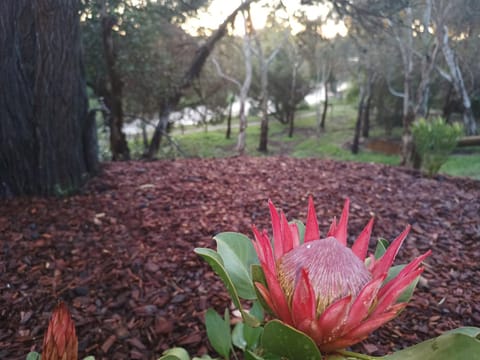 Strathalbyn Cottages Apartment in Strathalbyn