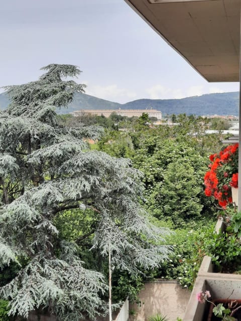 Spring, Day, Natural landscape, Garden, Garden view, Mountain view