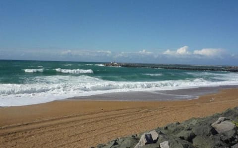 Nearby landmark, Beach