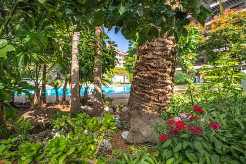 Coral Teide Mar Appartement-Hotel in Puerto de la Cruz
