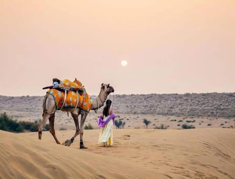 Mughal Sam Sand Dunes Desert Safari Resort in Sindh