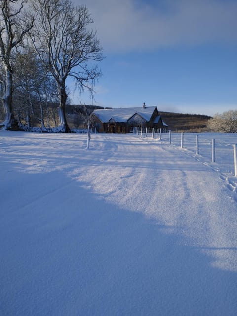 Natural landscape, Winter