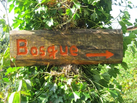 ECOHOSTAL HUELLAS DEL BOSQUE Bed and Breakfast in Valdivia