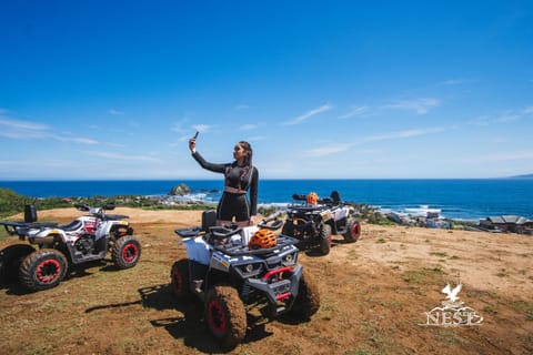 Day, People, Natural landscape, Activities, Activities, Sea view, group of guests