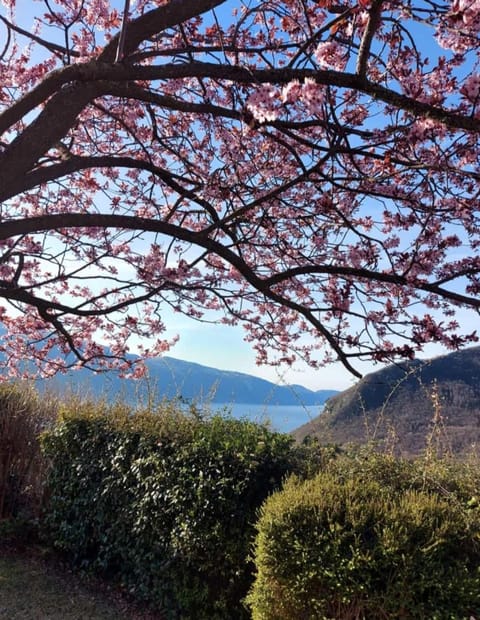 Ferienwohnung am Gardasee in Tignale, Pool, Seesicht, WLAN kostenlos Apartment in Tignale