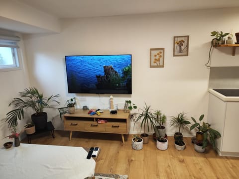 המקום של מוש Apartment in Haifa District