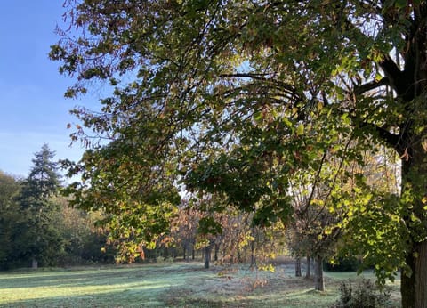 Garden view, Garden view