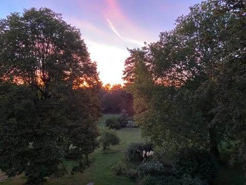 L’orée du bois des rois Bed and Breakfast in Fontainebleau