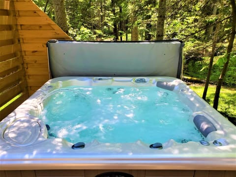 Steps to Beach-Hot Tub-Fireplace-Northern Original Chalet in Traverse City