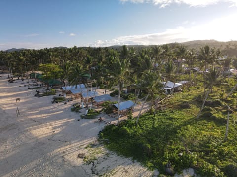 Natural landscape, Bird's eye view