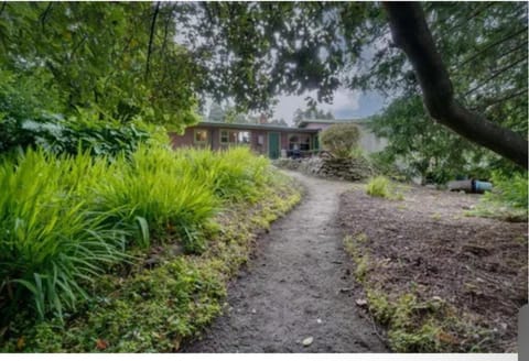 Redwood home on the Majestic Eel River (Pet friendly) House in Rio Dell