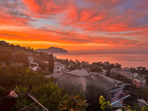 Natural landscape, Sea view, Sunrise