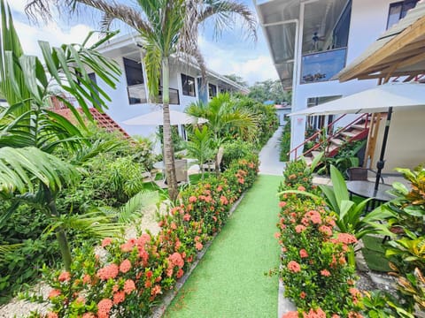 Patio, Garden, Balcony/Terrace, Inner courtyard view