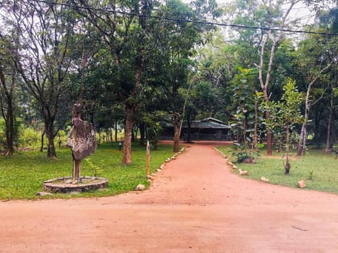 Eth Mansala House in Dambulla