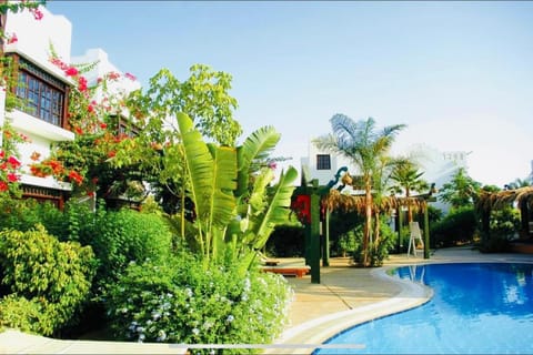 Beautiful 3 Bedroom Apartment-Delta Sharm- Sharm El Sheikh Apartment in Sharm El-Sheikh