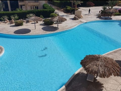 Day, Pool view, Swimming pool, sunbed