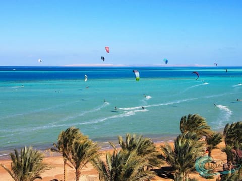 Day, People, Natural landscape, Beach, Sea view, group of guests