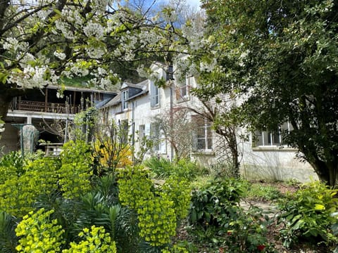 Property building, Garden view