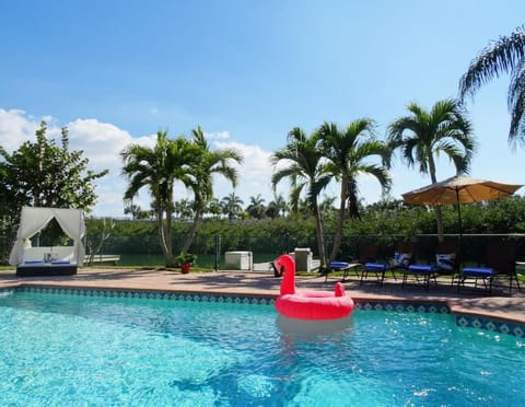 Day, Pool view, Swimming pool, sunbed