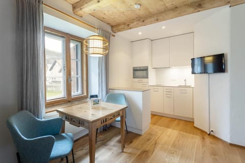 Chesa-Strimer - Studio Apartment in Canton of Grisons