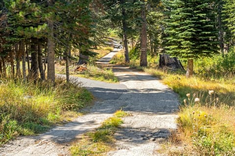 Walk to the Lake - Ski in out Amazing 5 Bdrm - VH#343 House in Bear Valley