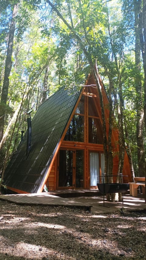 Casa Aurora Chalet in Los Ríos, Chile