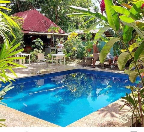 Day, Garden view, Swimming pool