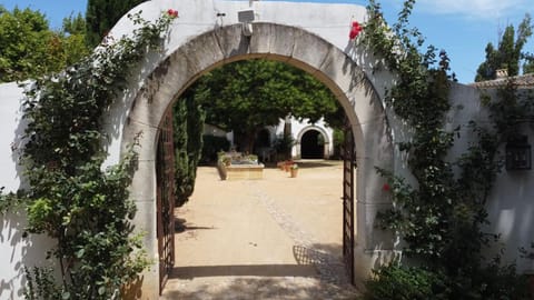 Patio, Garden view