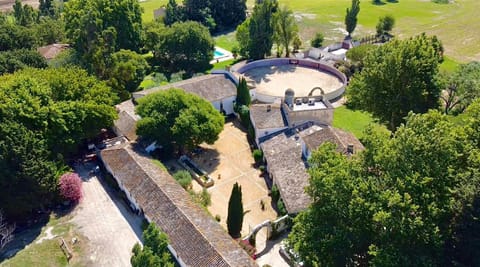 Bird's eye view, Garden, Garden view