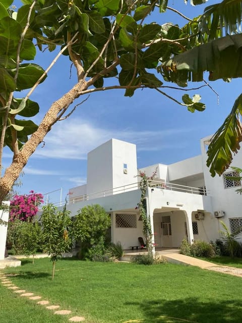 Property building, Day, Garden, Garden view