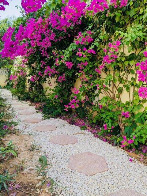 Garden, Garden view