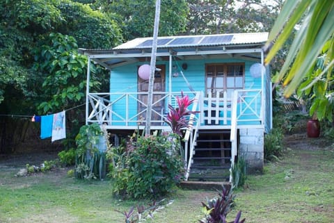 The Likkle Nature Queen Cottage Haus in Portland Parish