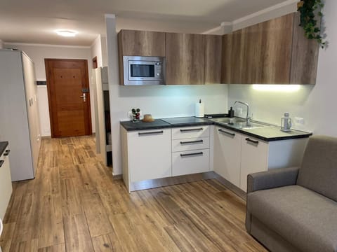 Kitchen or kitchenette, dishwasher, minibar, stove