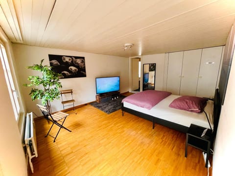 Newly furnished beautiful old building apartment in the center with Apple TV O1 Eigentumswohnung in St. Gallen