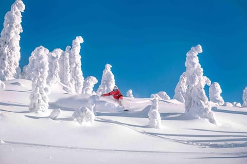 Snowy Trails Lodge in Big White Apartment in Alberta