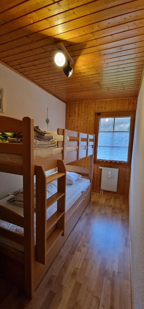 Bed, Photo of the whole room, Bedroom, bunk bed