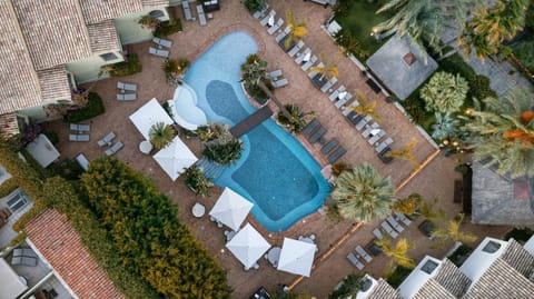 Day, Bird's eye view, Garden, Garden view, Pool view, Swimming pool, sunbed