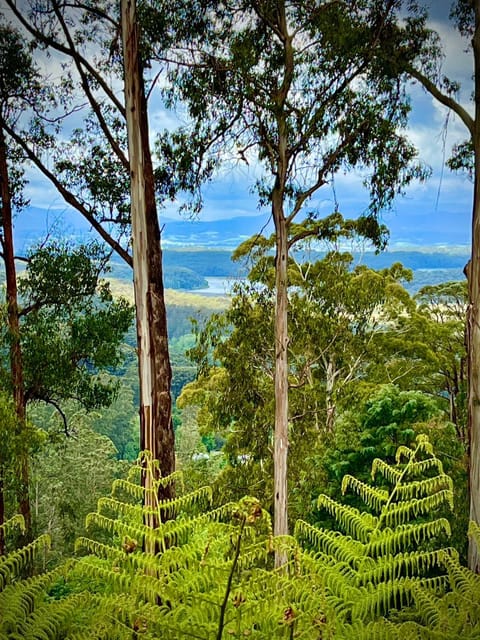 Melbourne Topview Villa in Dandenong ranges near Skyhigh Chalet in Mount Dandenong