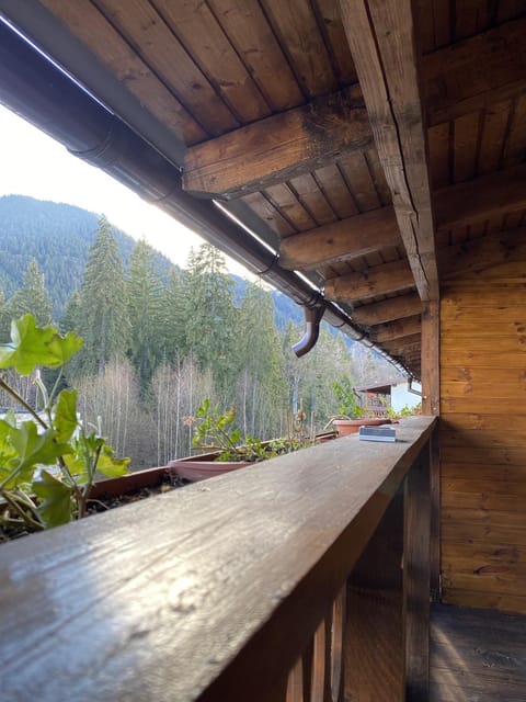 Natural landscape, View (from property/room), Balcony/Terrace, Mountain view