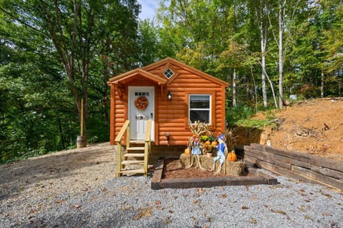 Property building, Spring, Day, Natural landscape