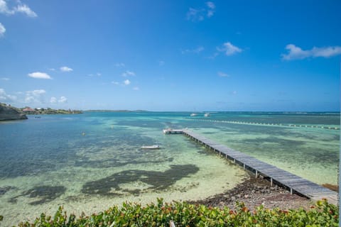 Garden, Sea view