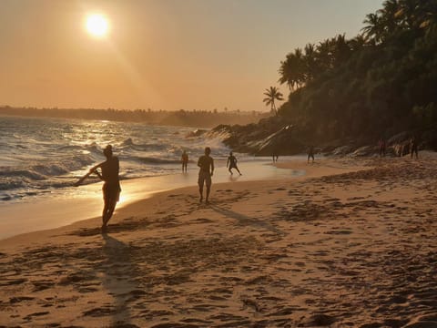 Beach, Sunset