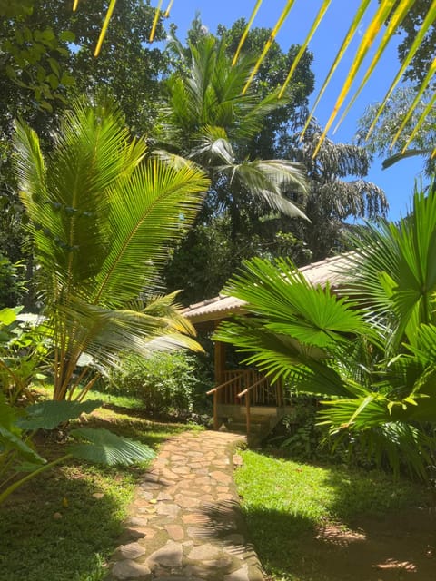 Into The Blue - Yoga included Nov-Apr & Surf and Kitesurf available Bed and Breakfast in Tangalle