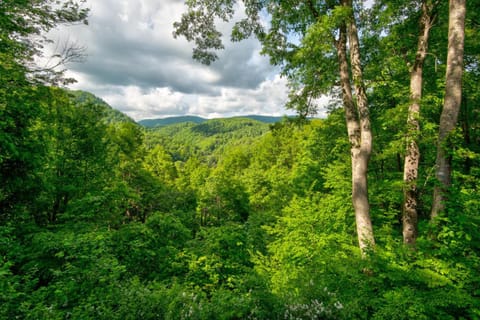 Crosswind Haus in Brushy Fork