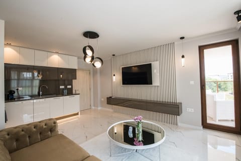 TV and multimedia, Kitchen or kitchenette, Living room, Seating area