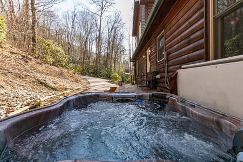 Cabin Cove House in Watauga